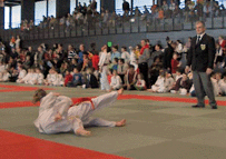 cfi06-4