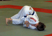 cfi06-5