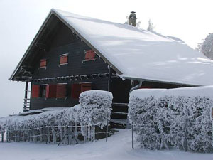 photo2